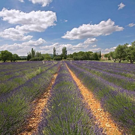 B&B Dans Mas En Pierres Robion en Luberon Eksteriør bilde