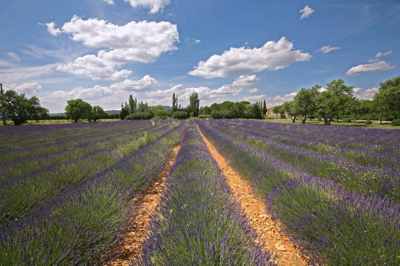 B&B Dans Mas En Pierres Robion en Luberon Eksteriør bilde